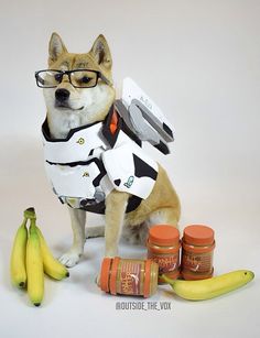 a dog dressed up as storm trooper with bananas and peanut butter