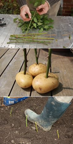 someone is cutting up some vegetables on the wooden table, and then they are ready to eat them