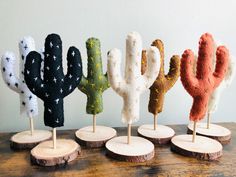 five different colored cacti sitting on top of wooden slices