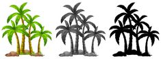 three different types of palm trees on a white background, one is black and the other has