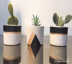 three potted cactus plants sitting on top of a glass table next to each other