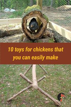 a chicken in a hole with the words 10 toys for chickens that you can easily make