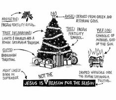 a christmas tree with the words jesus is reason for the season written on it and labeled in