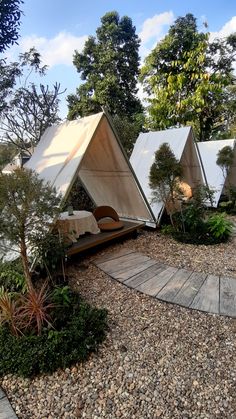 several tents are set up in the middle of a gravel path and surrounded by trees