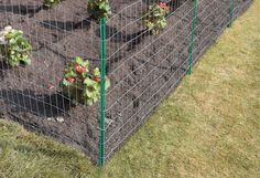 a garden fence with plants growing in it and the words learn more about front yard fence landscaping