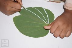 Exploring Veins Patterns in Leaves - Kids Painting Activity Leaf Lesson Plans, Kids Painting Activities, Leaf Lessons, Science Girl, Leaf Skeleton, Kids Painting, Painting Activities, Teacher Hacks, Painting For Kids