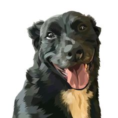 a black and brown dog with its tongue out