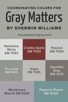 the color scheme for gray matters by sherylin williams