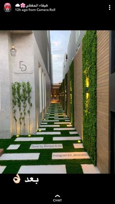 an outdoor walkway with artificial grass and plants on the sides, leading to two buildings