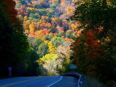 an empty road surrounded by trees with fall foliage on the hillside in the back ground