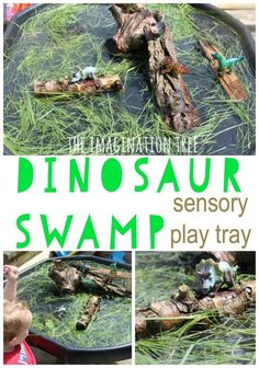 the dinosaur swamp play tray is filled with water and grass