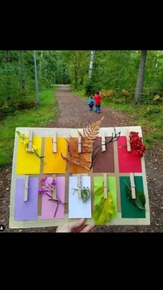 a person holding up a piece of paper with leaves and flowers on it in the woods