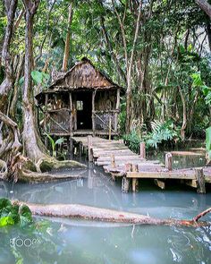 a small wooden hut in the middle of a swampy area with trees surrounding it