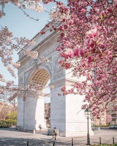 the washington monument with pink flowers in bloom is shown from across the street, as people walk by