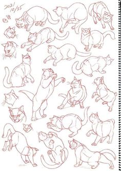 an image of cats in various poses and positions on a white sheet with red ink