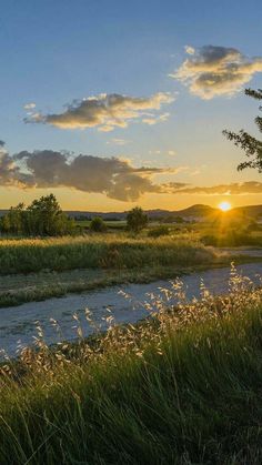 the sun is setting over a river with tall grass