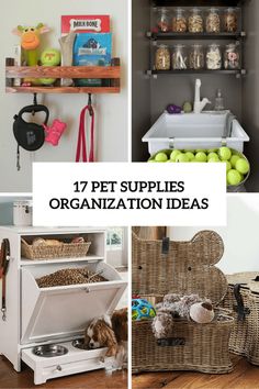 there are several pictures with the words 17 pet supplies organization ideas