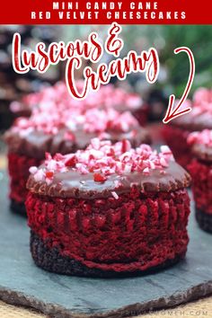 red velvet candy cake with chocolate frosting and sprinkles on the top