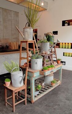 an assortment of potted plants on display in a room with ladders and shelves