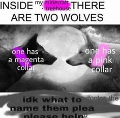 two animals that are next to each other with the caption inside my house there are two wolfs