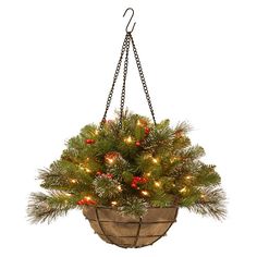 a potted plant hanging from a chain with christmas lights on it's branches