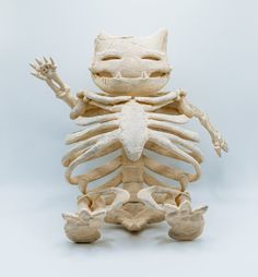 a cat skeleton sitting on top of a white surface