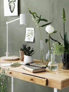 some plants are sitting on a table with books and vases in front of them