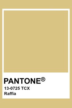 the pantone color is shown in this image