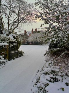 a snow covered driveway with trees and bushes