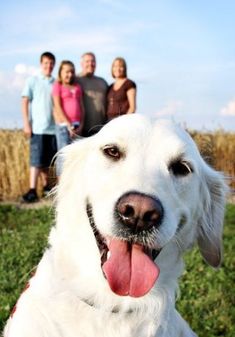 a white dog with its tongue hanging out in front of two adults and one child