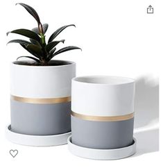 two grey and white pots with plants in them