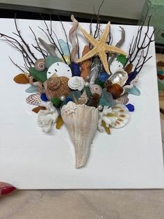 there is a sea shell and starfish on the white board with other seashells