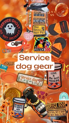 the service dog gear is displayed on an orange background with lots of stickers and magnets