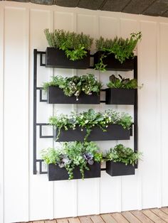 a wall mounted planter filled with green plants