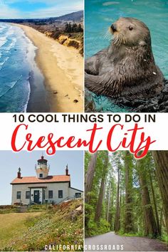 the top ten things to do in crescent city