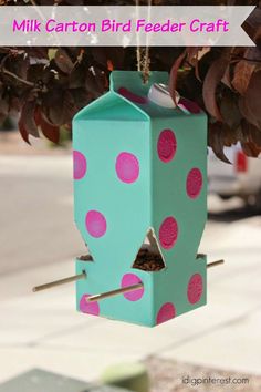 a bird feeder hanging from a tree with pink and green polka dots on the outside