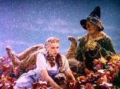 two people dressed as wizard and witch with flowers in the foreground, one wearing a hat