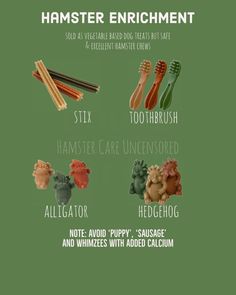 an info sheet with different types of toothbrushes