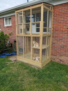 two cats sitting in a small wooden house on the grass next to a brick building