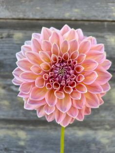 a large pink flower sitting on top of a wooden table