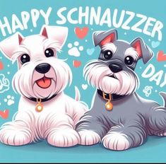 two dogs sitting next to each other on a blue background with the words happy schnauzer day