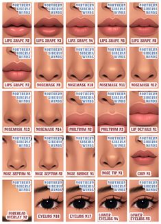 the different types of lips and how they are used to make them look like they're