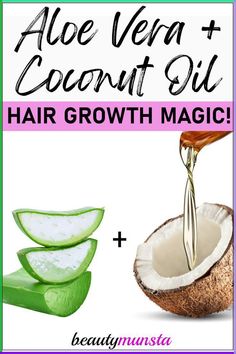 Did you know that you can use aloe vera and coconut oil for hair growth! Make a magical hair growth mix with them and see your hair flourish! Aloe vera and coconut oil are both powerful hair growth boosters. Hair Mask For Hair Fall, Mask For Hair Fall, Olive Oil Hair Mask, Mask For Hair, Honey Hair Mask, Coconut Oil Hair Growth, Fresh Aloe Vera Gel