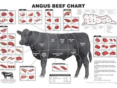 an animal's diagram shows the parts of its body and how they are used to cook