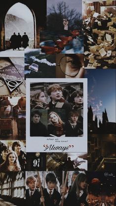 collage of harry potter images, including hogwart's houses and other characters