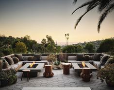 an outdoor seating area with fire pit and palm trees