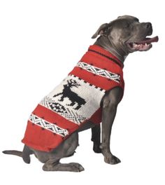 Apres Ski ~ Hand Knit Wool Red Reindeer Dog Shawl - Le Pet Luxe Chilly Dogs, Reindeer Dog, Pet Sweaters, Reindeer Sweater, Tea Cup Dogs, Knit Dog Sweater, Pet Sweater, Dog Boutique, Dog Diapers