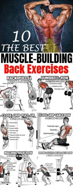 the 10 best muscle building exercises for back and shoulder workouts, with instructions on how to