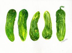 four green cucumbers are lined up on a white surface, one is painted in watercolor and the other has been drawn