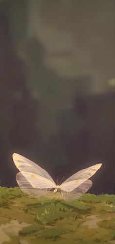 a white butterfly sitting on top of a lush green field with dark clouds in the background